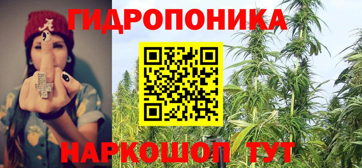 Марихуана конопля Отрадный